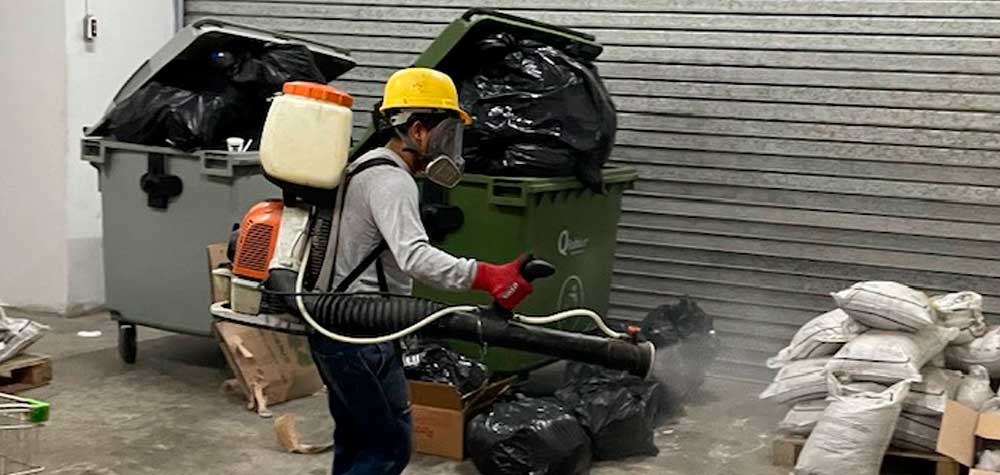 Cuánto cobra un fumigador de plagas Fumigación de plagas en Lima y Callao