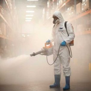 Fumigación de empresas